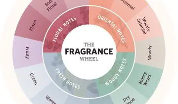 Your Fragrance Wheel and Scent Families Guide