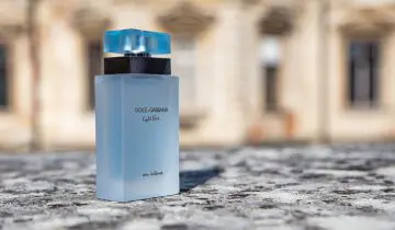 The Top 10 Dolce and Gabbana Fragrances
