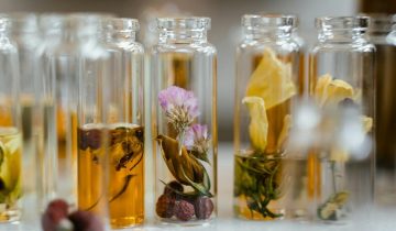 The Art of Olfactory Imagery: Vivid Experiences Through Fragrances