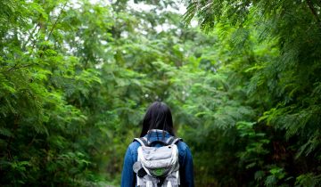 Mountain Rain Fragrance: A Breath of Fresh Nature